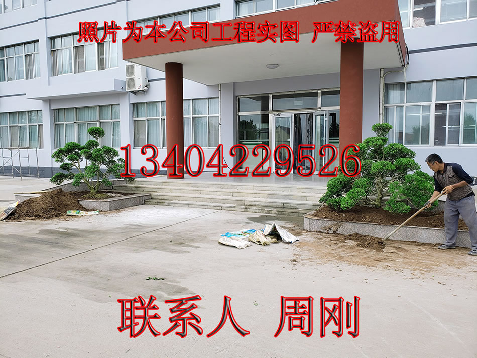 蘇州園林綠化 從私家園林到現代廠區的生態美學傳承