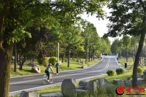 2024年濰坊 匠心鑄就景觀優美、生態良好的城市園林綠化新格局